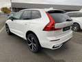 Volvo XC60 R-Design T6 AWD Recharge Plug-In Hybrid AWD HUD AD Weiß - thumbnail 3