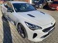 Kia Stinger 3.3T AWD AT8 GT 8-FACH BEREIFT Klima Navi Silber - thumbnail 9