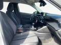 Peugeot 2008 Allure Weiß - thumbnail 11
