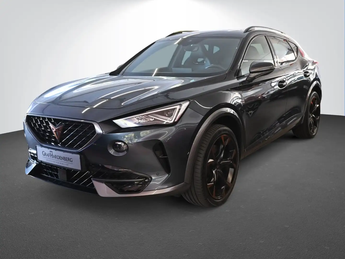 CUPRA Formentor VZ 2.0 TSI Automatik 4Drive AHK beats PanoD LED Grau - 1