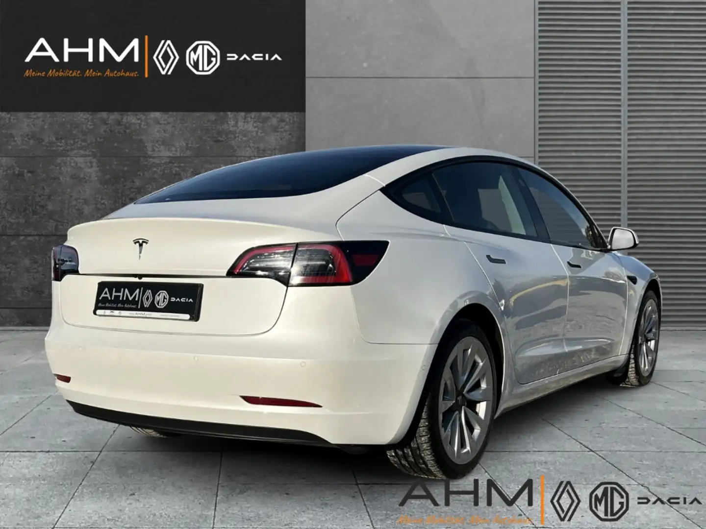 Tesla Model 3 RWD Alufelgen 8fach bereift * MwSt. ausweisbar Alb - 2