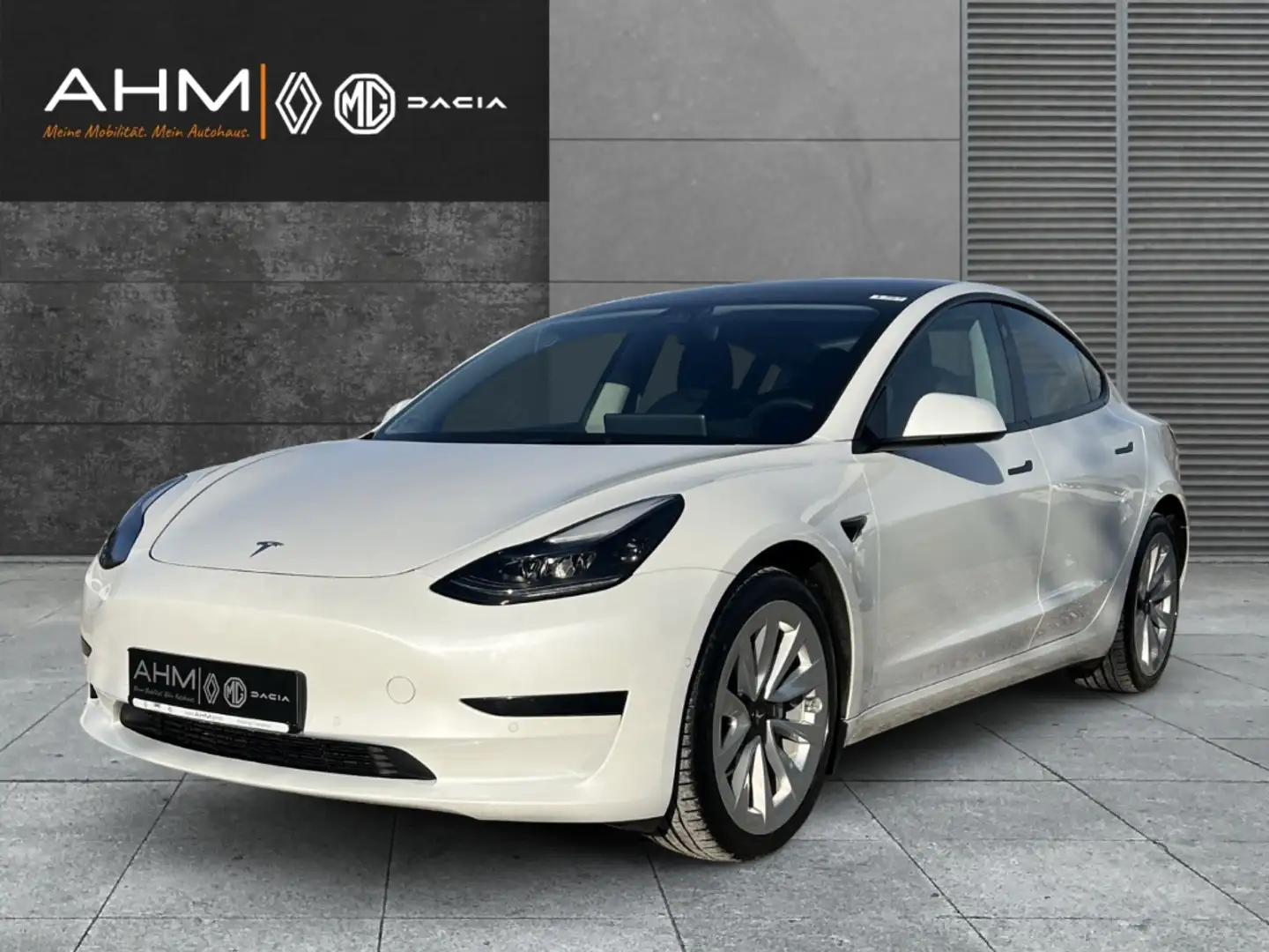 Tesla Model 3 RWD Alufelgen 8fach bereift * MwSt. ausweisbar Alb - 1