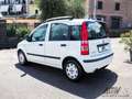 Fiat Panda 1.2i 69 Cv 24 MESI DI GARANZIA-OK NEOP. Blanc - thumbnail 6