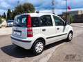 Fiat Panda 1.2i 69 Cv 24 MESI DI GARANZIA-OK NEOP. Blanc - thumbnail 4