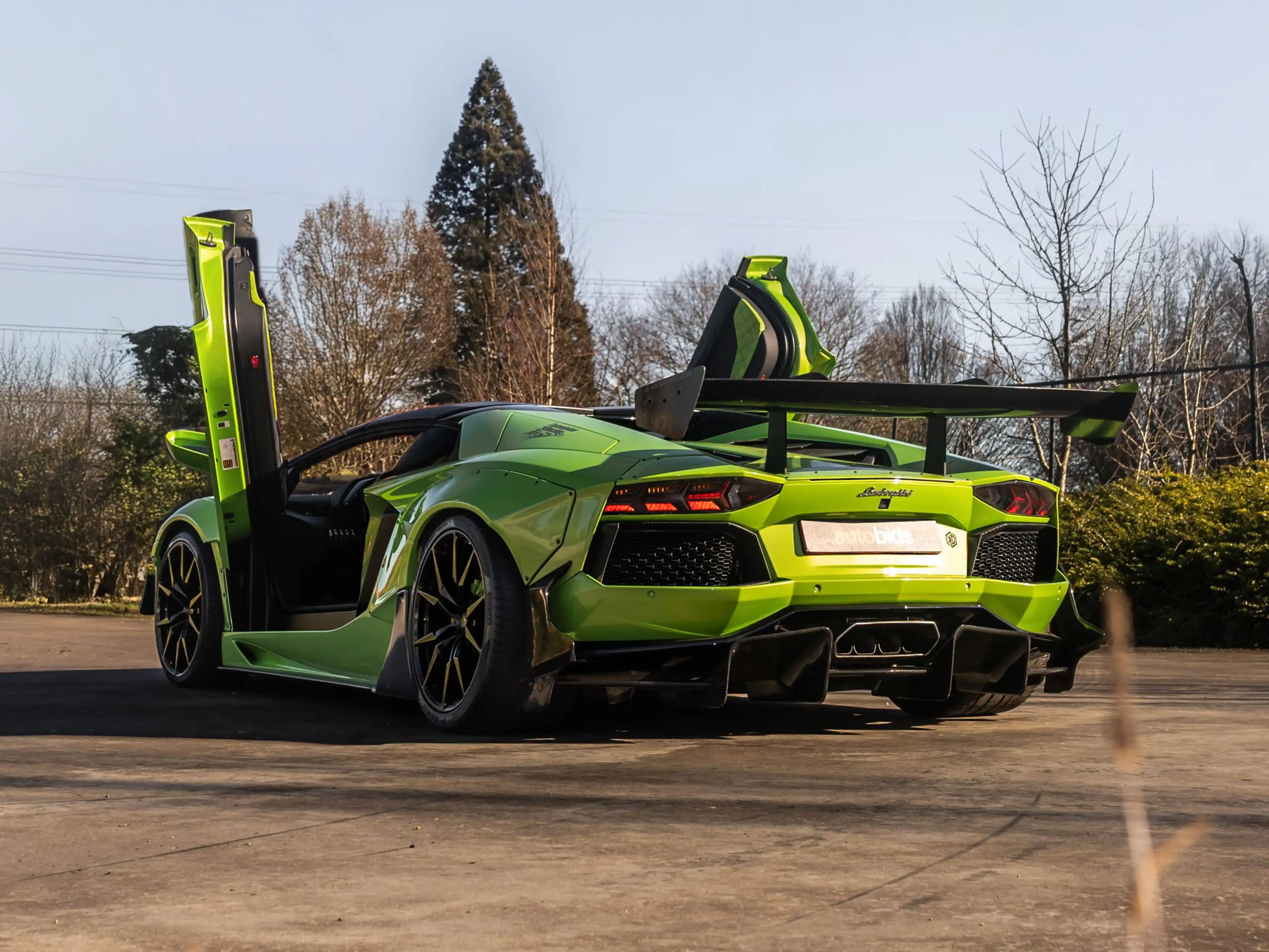 Lamborghini Aventador Roadster V12 LP700-4 Liberty Walk — photo 2