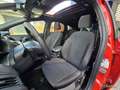 Ford Focus 1.5 Ecoboost SS 134kW 182CV STLi Rojo - thumbnail 16