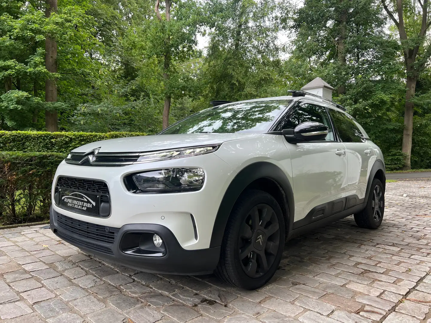 Citroen C4 Cactus C4 Cactus PureTech Wit - 1