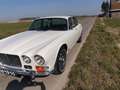 Jaguar XJ12 White - thumbnail 1