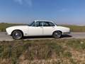 Jaguar XJ12 White - thumbnail 7