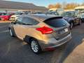 Ford Focus 1,0 EcoBoost Titanium+Zahnriemen neu Brun - thumbnail 4