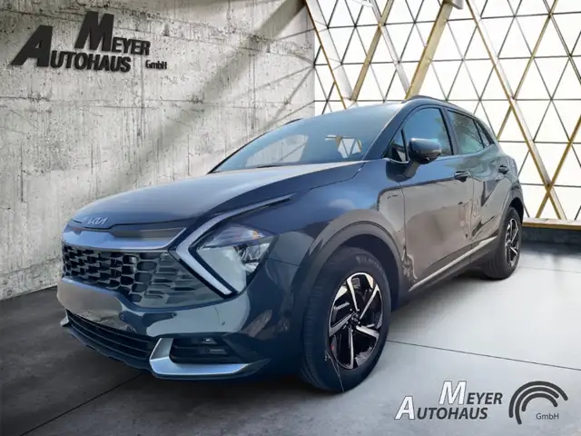 Kia Sportage 1.6D Vision+Teilleder+el. Sitze+getönte Scheiben+P