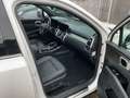 Kia Sorento Platinum 4WD Plug-In Hybrid Weiß - thumbnail 5