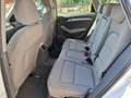 Audi Q5 2.0 TDI 143 CV quattro Advanced Plus Bianco - thumbnail 13