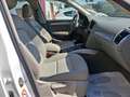 Audi Q5 2.0 TDI 143 CV quattro Advanced Plus Bianco - thumbnail 11