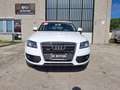 Audi Q5 2.0 TDI 143 CV quattro Advanced Plus Bianco - thumbnail 6