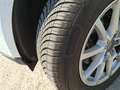 Audi Q5 2.0 TDI 143 CV quattro Advanced Plus Bianco - thumbnail 14