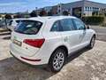 Audi Q5 2.0 TDI 143 CV quattro Advanced Plus Bianco - thumbnail 4