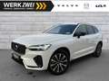 Volvo XC60 B4 Plus Dark 2WD ACC PANO 360° Allwetter Weiß - thumbnail 1