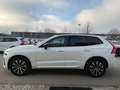 Volvo XC60 B4 Plus Dark 2WD ACC PANO 360° Allwetter Weiß - thumbnail 4