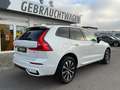 Volvo XC60 B4 Plus Dark 2WD ACC PANO 360° Allwetter Weiß - thumbnail 7
