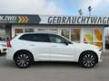 Volvo XC60 B4 Plus Dark 2WD ACC PANO 360° Allwetter Weiß - thumbnail 8