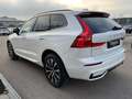 Volvo XC60 B4 Plus Dark 2WD ACC PANO 360° Allwetter Weiß - thumbnail 5