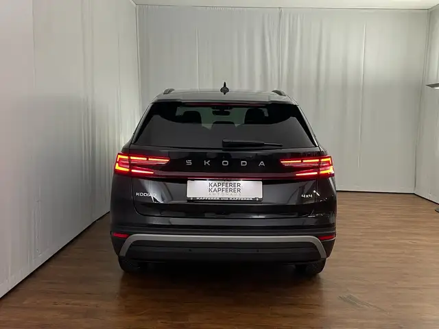 Skoda Kodiaq 4x4 Selection TDI DSG Ansicht 19