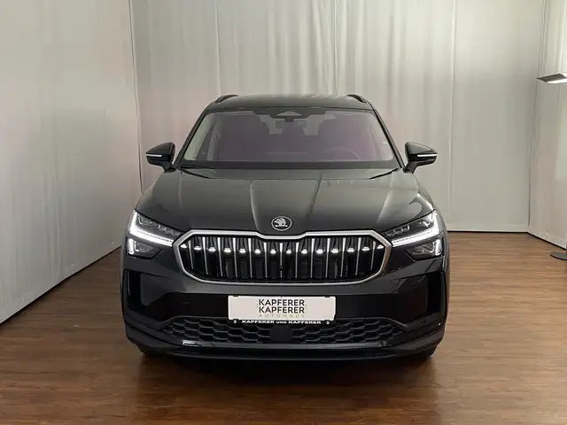 Skoda Kodiaq 4x4 Selection TDI DSG Ansicht 2