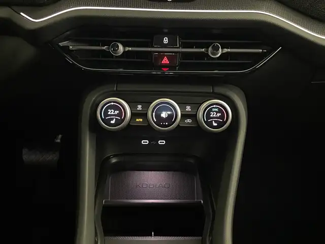 Skoda Kodiaq 4x4 Selection TDI DSG Ansicht 7