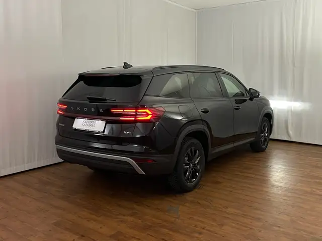 Skoda Kodiaq 4x4 Selection TDI DSG Ansicht 20