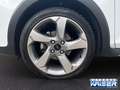 Ford Fiesta Active Navi B&O SHZ Spurhalte +Berganfahrass. Wit - thumbnail 20
