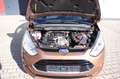 Ford B-Max Titanium Klima /Panorama/ PDC Kahverengi - thumbnail 13