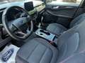 Ford Kuga Kuga III 2020 1.5 ecoblue ST-Line 2wd 120cv auto Blu/Azzurro - thumbnail 9