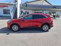 Ford Kuga 2,0 EcoBlue Hybrid Titanium X Rot - thumbnail 8