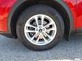Ford Kuga 2,0 EcoBlue Hybrid Titanium X Rot - thumbnail 36