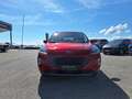 Ford Kuga 2,0 EcoBlue Hybrid Titanium X Rot - thumbnail 3