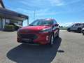 Ford Kuga 2,0 EcoBlue Hybrid Titanium X Rot - thumbnail 2