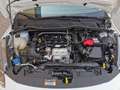 Ford Fiesta 1.0 EcoBoost Trend 100 Blanc - thumbnail 23
