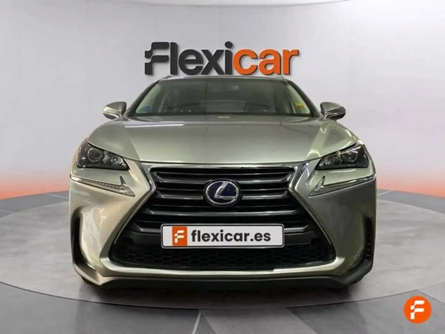 Lexus NX 300 300h Corporate 2WD + Navibox Grau - 2