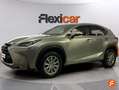 Lexus NX 300 300h Corporate 2WD + Navibox Grau - thumbnail 3