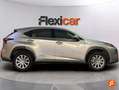 Lexus NX 300 300h Corporate 2WD + Navibox Grau - thumbnail 9