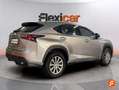 Lexus NX 300 300h Corporate 2WD + Navibox Grau - thumbnail 8