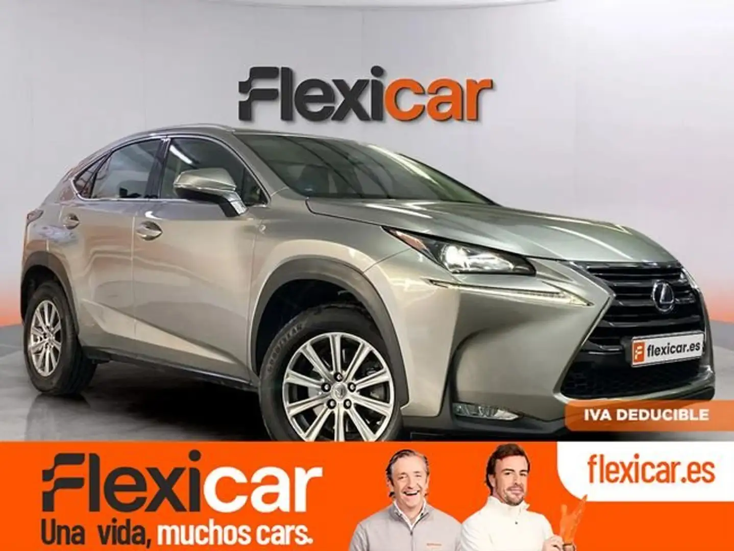 Lexus NX 300 300h Corporate 2WD + Navibox Grau - 1