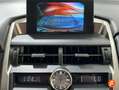 Lexus NX 300 300h Corporate 2WD + Navibox Grau - thumbnail 17