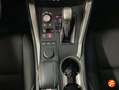 Lexus NX 300 300h Corporate 2WD + Navibox Grau - thumbnail 18