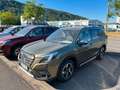 Subaru Forester Forester 2.0ie PLATINUM Green - thumbnail 1