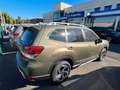 Subaru Forester Forester 2.0ie PLATINUM Green - thumbnail 4