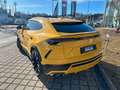 Lamborghini Urus 4.0 V8 ACC,HUD,PANO,KERAMIK,LUFT,23",360... Jaune - thumbnail 5