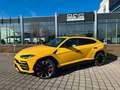 Lamborghini Urus 4.0 V8 ACC,HUD,PANO,KERAMIK,LUFT,23",360... Jaune - thumbnail 4