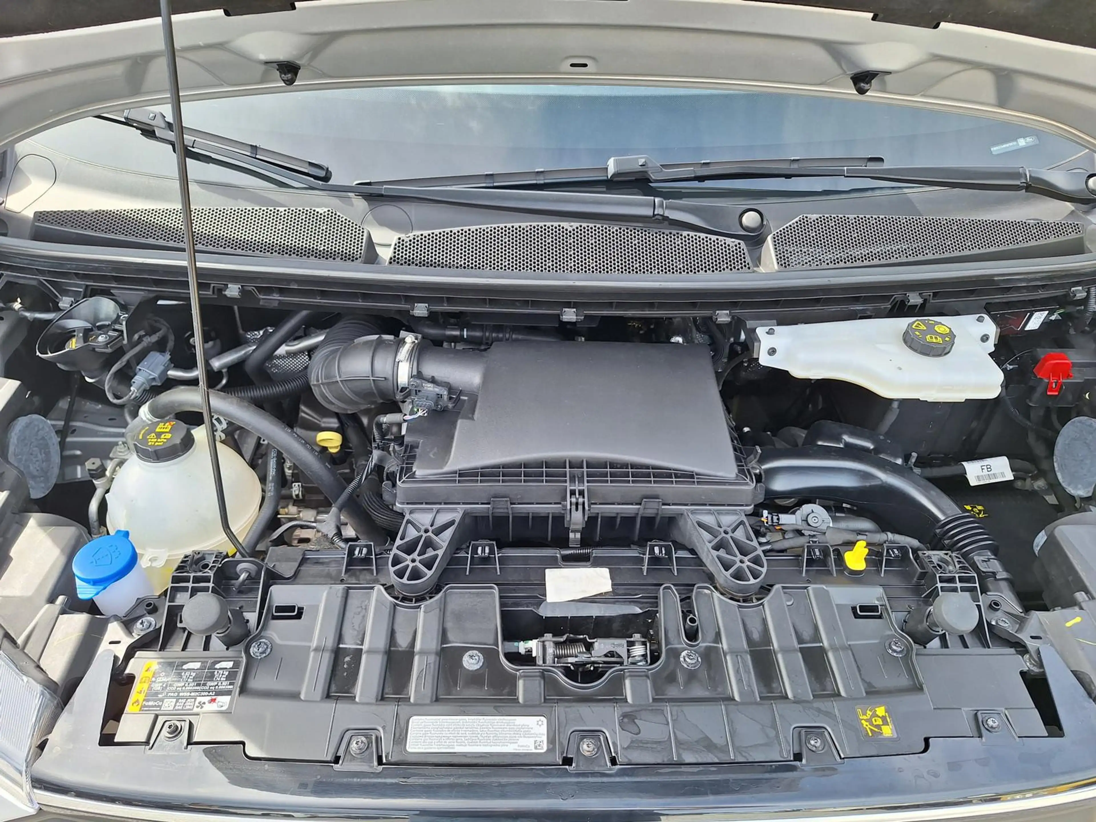 Fiat Panda Pandina Pop 1.0 Hybrid | Klima | PDC | Tempomat — photo 15